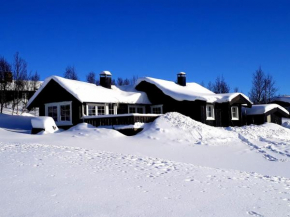 Cozy, well-equipped and family-friendly cabin in Geilo